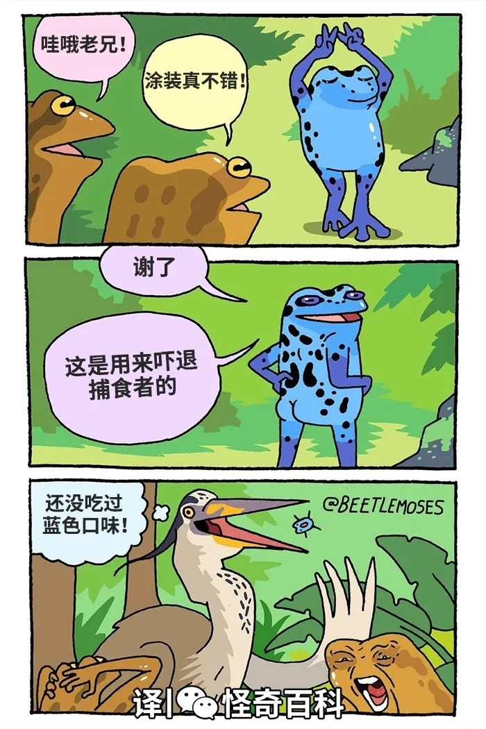 小蛤蟆秀完就让鸟给吃了​​​