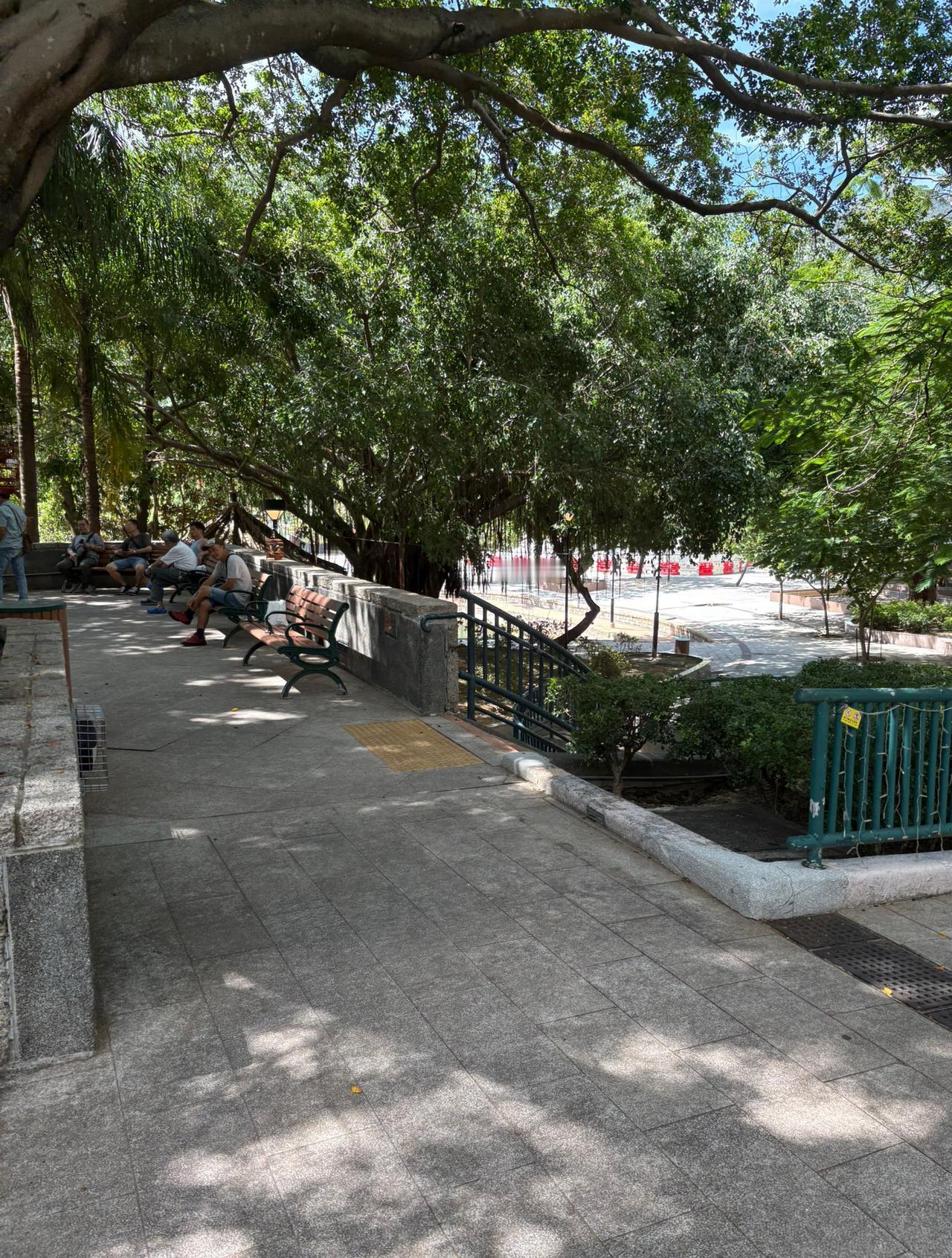 小区附近的这个公园，早上的时候，很多人在里面晨练，大家都很遵守秩序，没有