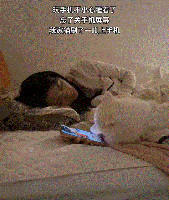 万万没有想到，广东，一女子在床上躺着玩手机刷视频，期间她刷着刷着就睡着了，但让其