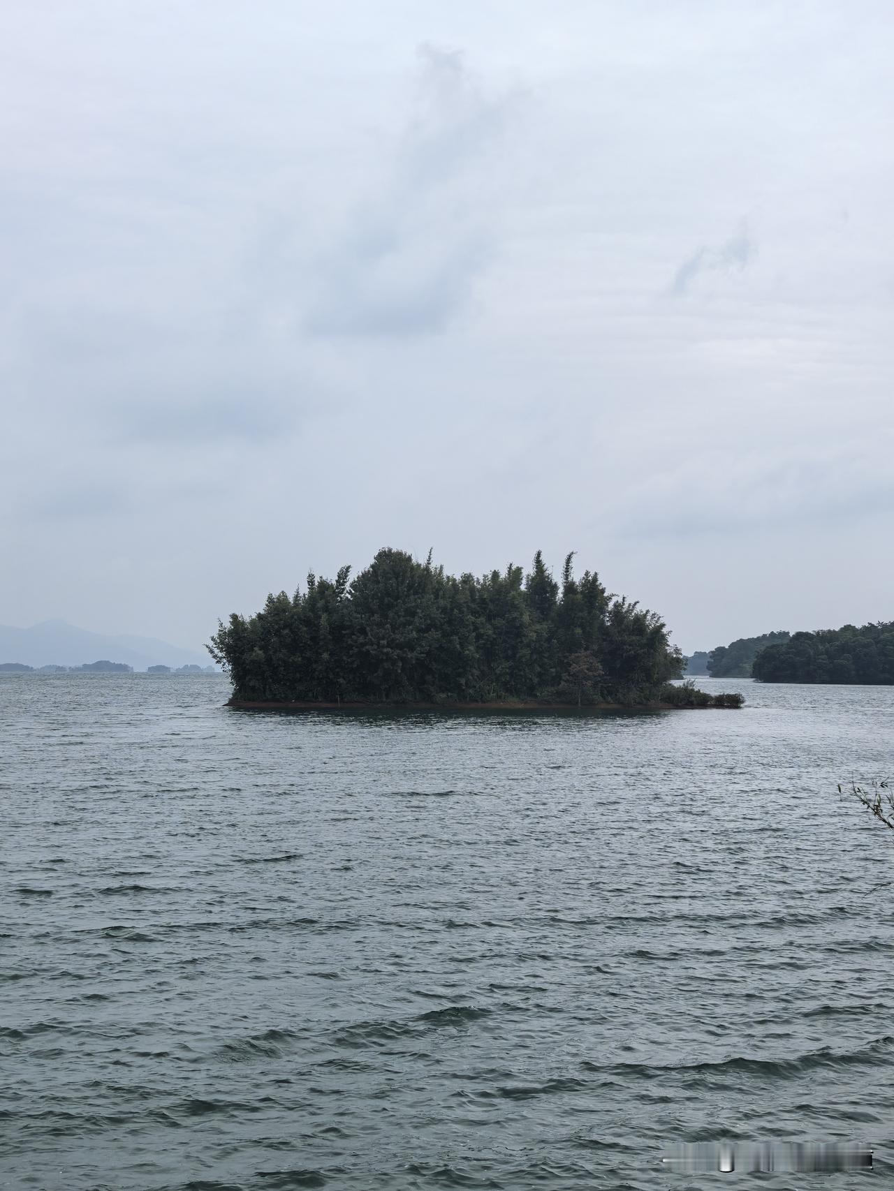 于我个人而已，我是非常支持电商税的快速上线和执行的，目前的整个营商环境已经恶化，