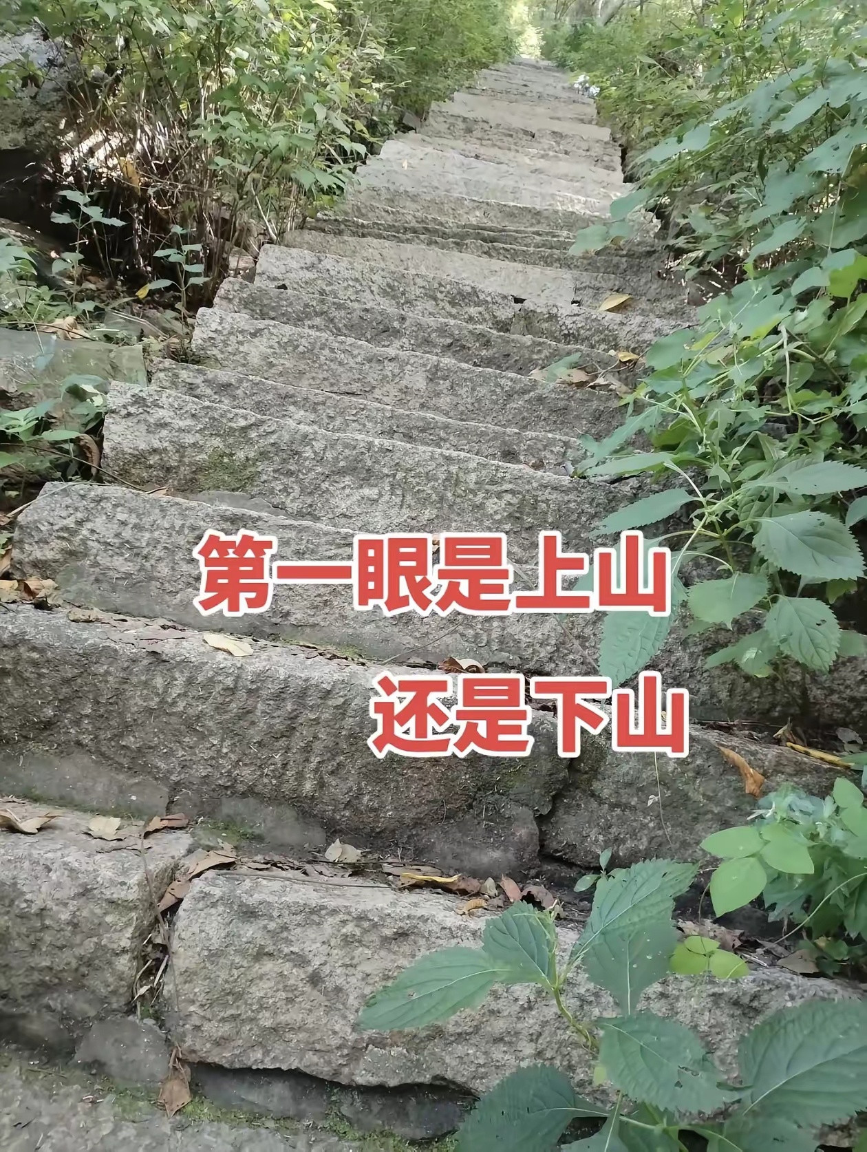 第一眼，这是上山还是下山？