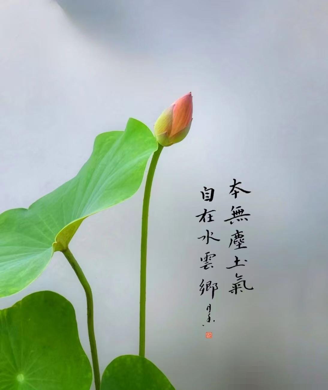 心想事成的法则：金句浓缩版1.敢要，宇宙就敢递；敢信，好运