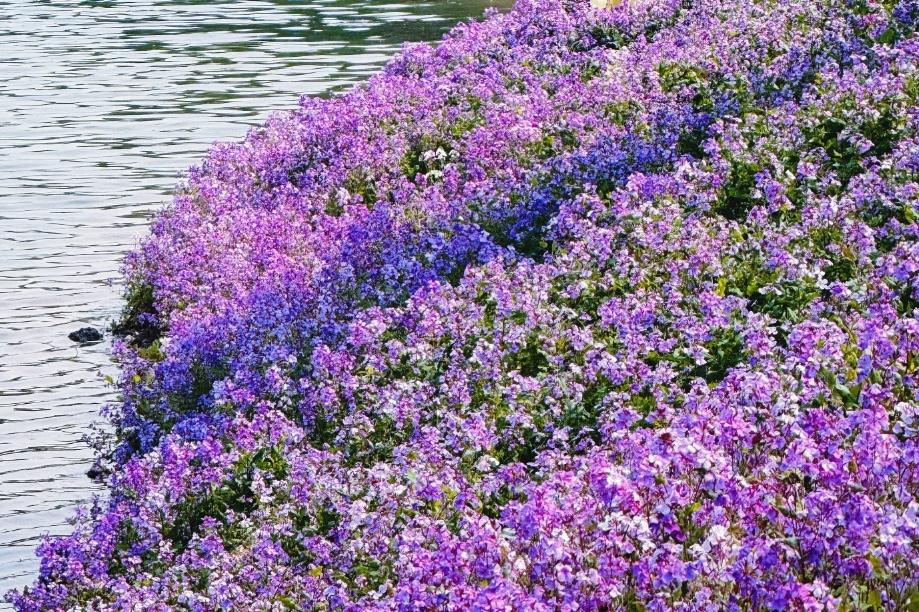 昨日（4月15日），北京二手房数据来了，上菜单！昨日，北京二手房住宅网签量为