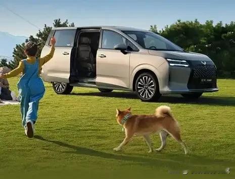 不管你信不信，这就是事实！6％家庭，买50万元以上的车；12％家庭，买20~