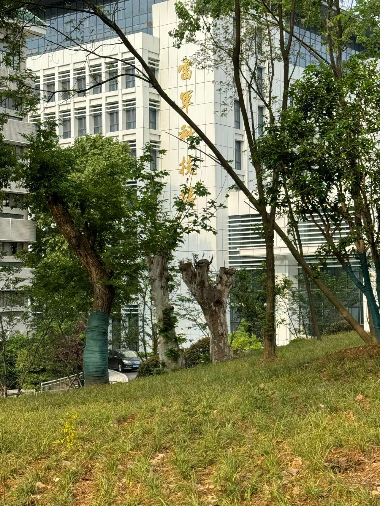 强烈呼吁河南双休政策不要一刀切。据悉，考生大省湖北直到现在没有执行双休政策，