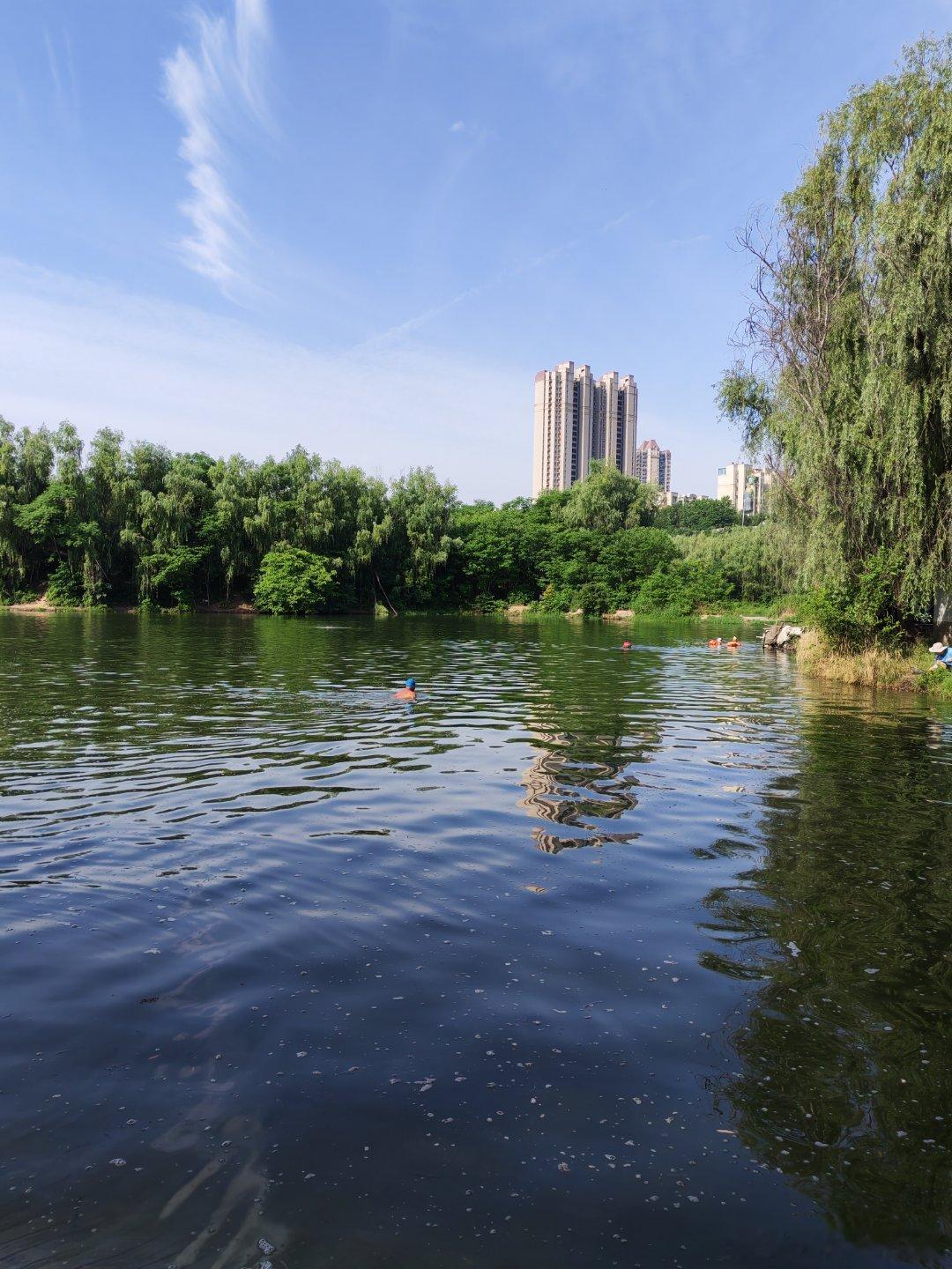 雁鸣湖游泳游泳雁鸣湖生活手记西安·雁鸣湖休闲公园