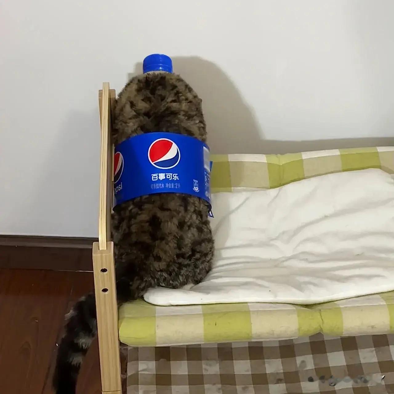 可乐怎么整瓶都是泡啊…