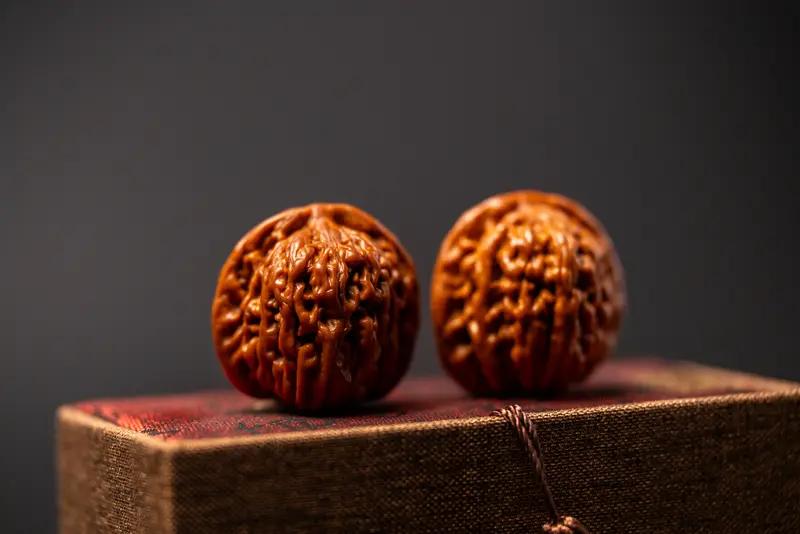 近日北京发生了一件让人哭笑不得的事儿。一位大爷拿着文玩核桃逗松鼠，结果松鼠直接叼