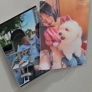 江西景德镇一起惨烈的车祸案一直牵动着大家的心，很快就要迎来一审宣判了。这起案子之