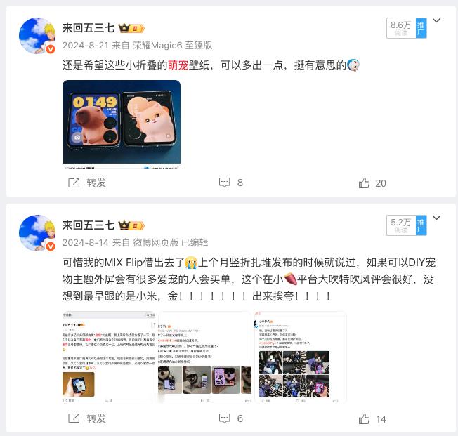 一年前我说了一下，这么多竖折都在做萌宠外屏，但是主题太少。如果可以自定义自家宠物