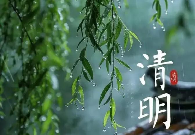 2026年4月5日清明，属兔人墓前祭祖，一踩坟头就破家运？大忌曝光！丙午马年