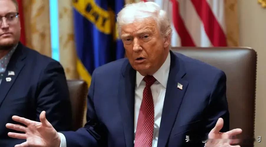 10亿美元买个永久席位，特朗普这是要把联合国开成连锁店？这“和平委员会”听着高