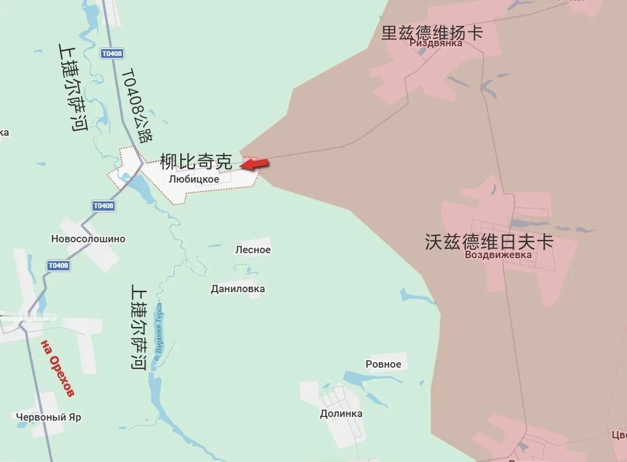 俄军东部集群今天在沃兹德维日夫卡方向的攻击向前推进了3公里，现在攻入了柳比齐克村