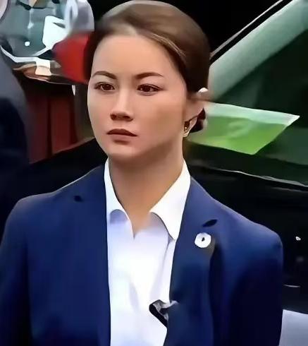 郑丽文在大陆，悄悄问身边安保一个问题，对方的回应，让她半天说不出话。​​她本