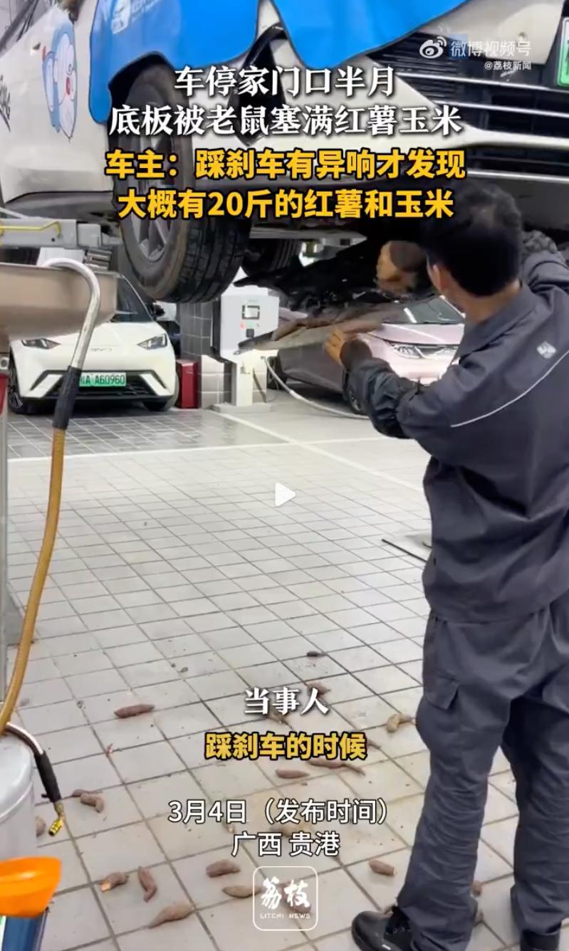 真当成家了！广西贵港，一男子开车听着动静不对劲，送去保养才发现，自家车底盘竟然被