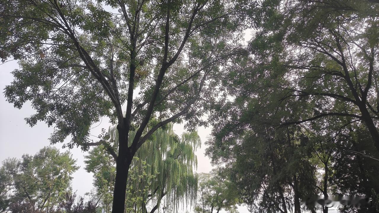 气质出众的人，往往都有这些特征:一个人的气场和沉稳，从来不是天生的。都是后