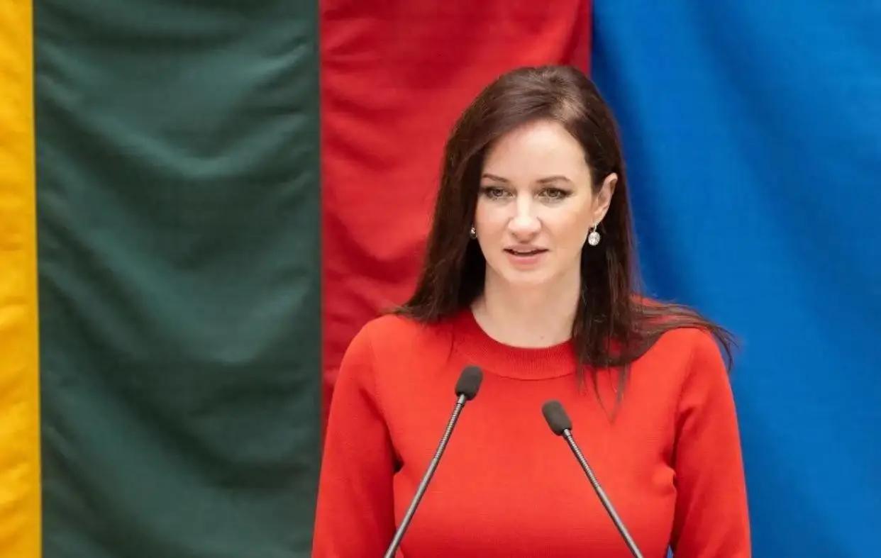 立陶宛现总理算是一个聪明人、也很理智、看到自已的国家混到如此惨状、心急如焚、要急