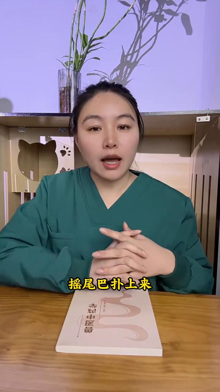 猫对人有没有感情？猫对人有没有感情，看这四个动作就知道了，猫主人快来了解一下。