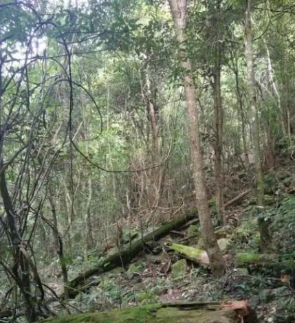 如果发生战争躲在山里安全吗？这么说吧，逃山者能十存七八，但逃湖者只能十存一二。往