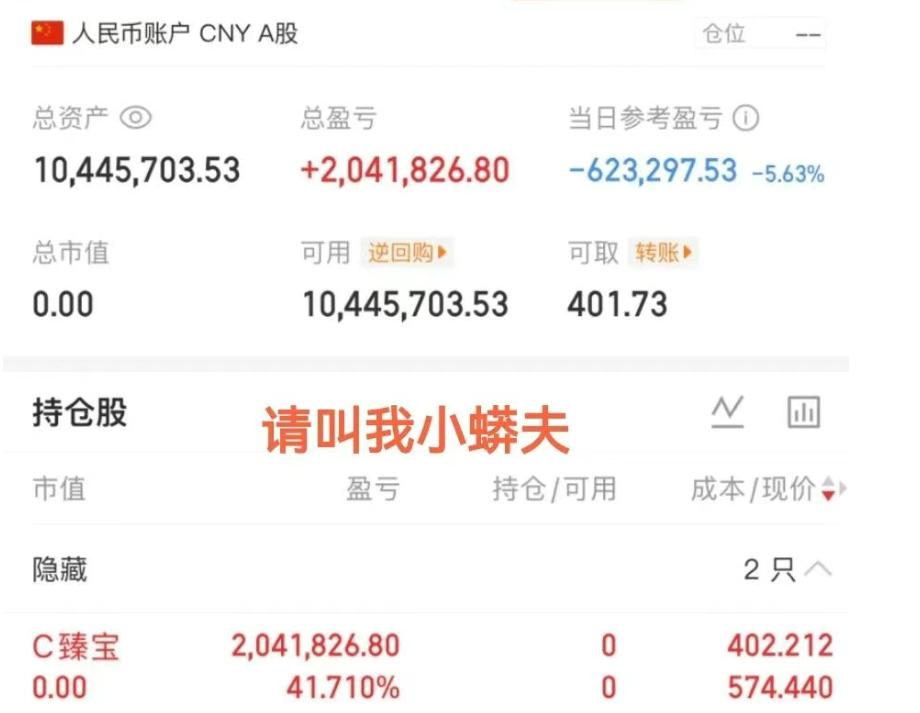 两大高手昨天臻宝赚嘛了，这是一天几套房的节奏啊，昨天很多人都说去新股臻宝的今天带