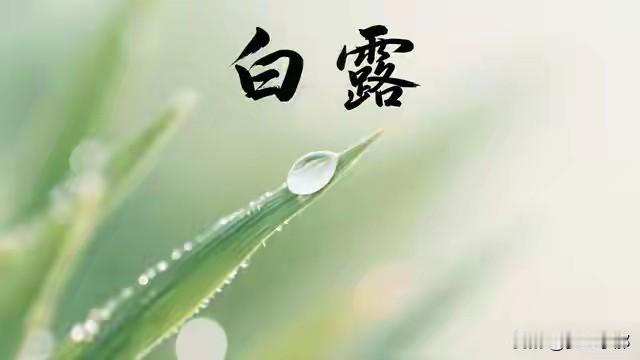 今年白露不一般，老话说“白露逢双，冬天天荒”，有啥征兆？秋风渐起，暑气收敛，