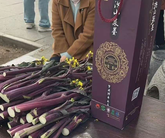 洪山菜苔有什么讲究，越粗越好，越粗越贵？