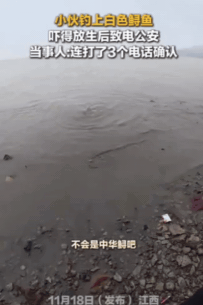 20日报道，江西一小伙钓了一条大鱼，好不容易拉上岸，却吓得鱼竿都扔了！原来这条白