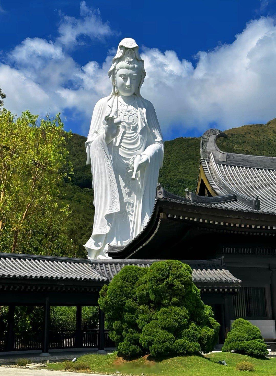 12生肖一周运势（8.24~8.30）吉运生肖特吉生肖：龙、马、羊次吉生肖：虎