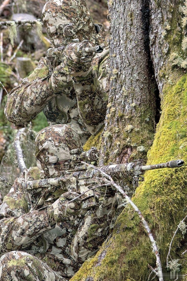 不仔细看还真看不出有两个士兵​​​