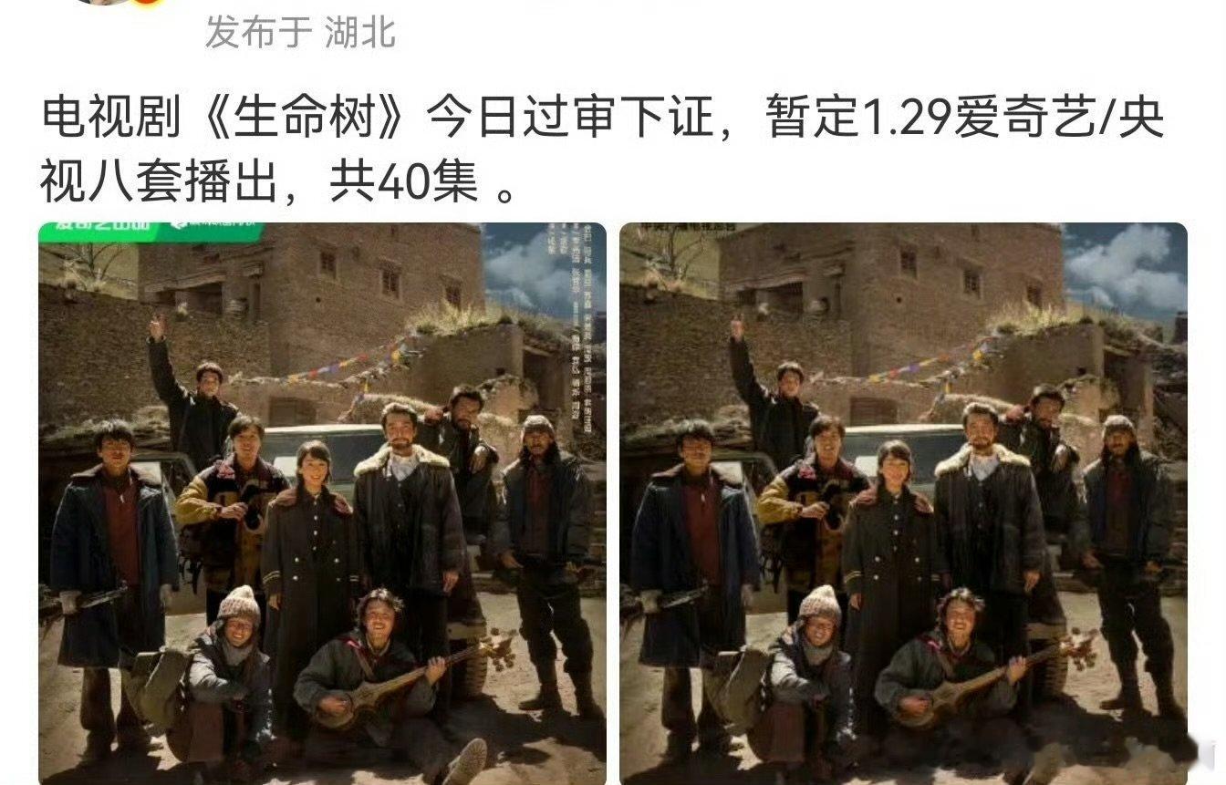 杨紫胡歌生命树下证杨紫胡歌生命树过审杨紫胡歌生命树下证，期待播出