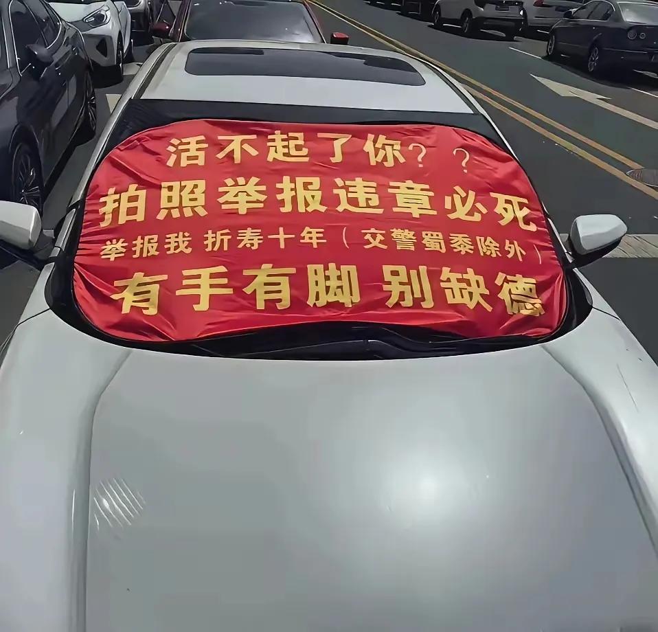 坏人为啥这么嚣张，谁给的胆量？随意停车、不按规矩停车，真的很可恶更让人愤怒！像这