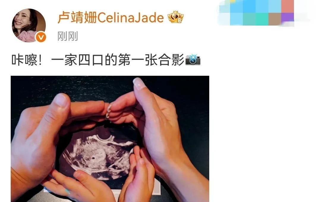 卢靖姗官宣，喜怀二胎。就在刚不久，卢发了一张照片，并配文：“咔嚓，一家四口的第