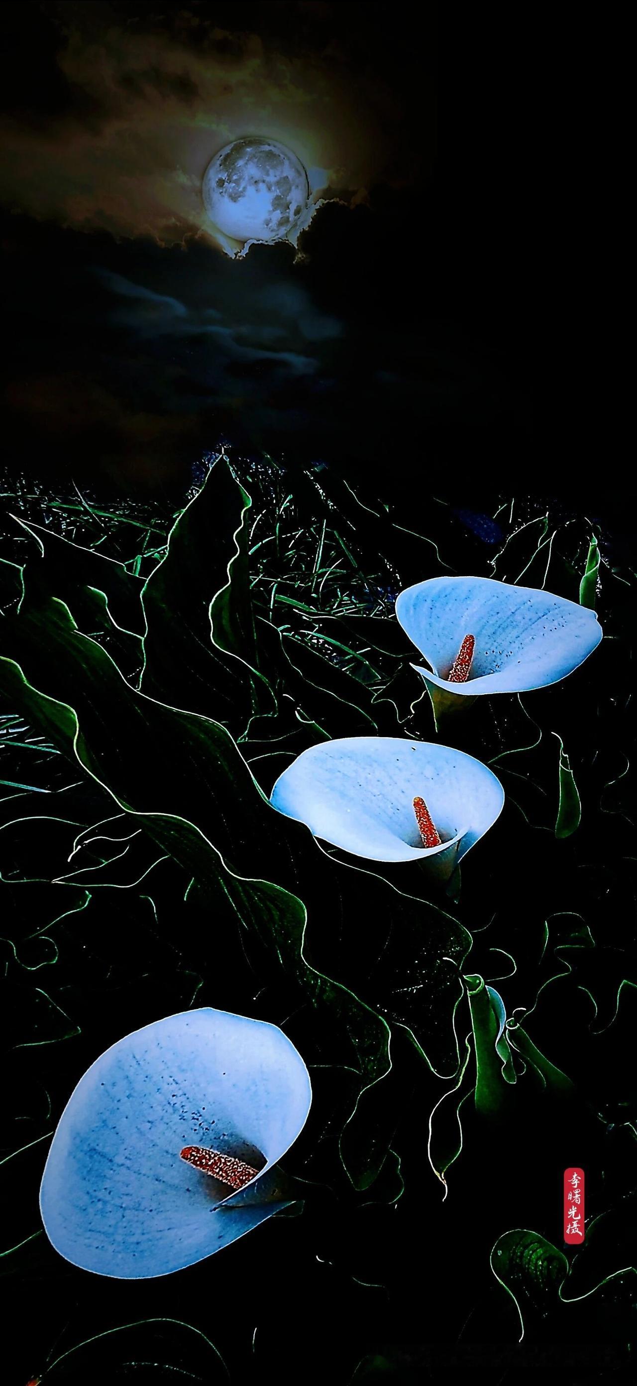 打太极拳时，为啥非要“指撑腕挺”？您试试看：手掌舒展比握拳气机更活，手指掤住比