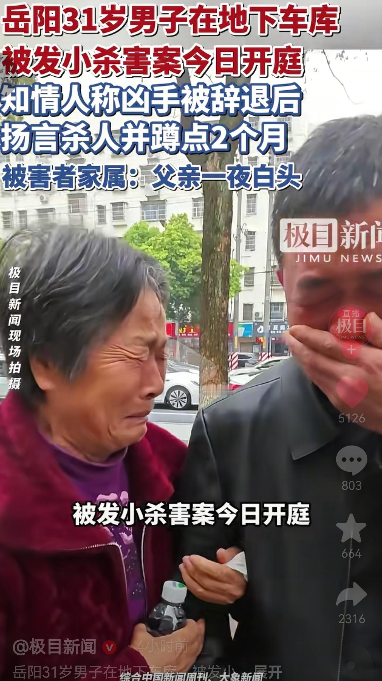 湖南岳阳这起地下车库伤人致死案，于4月8日上午在岳阳市中级人民法院开庭的消息一出