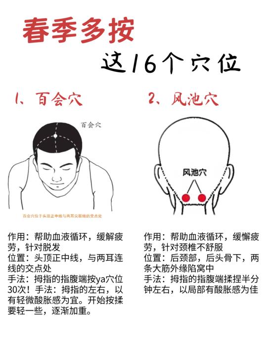 必知！人体16大绝穴，健康秘码全解锁🔎