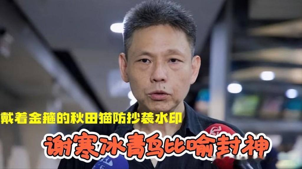 谢寒冰对“青鸟”比喻封神！陈莹讽刺梁文杰“少去酒店”反被“青鸟”围攻，谢寒冰叹