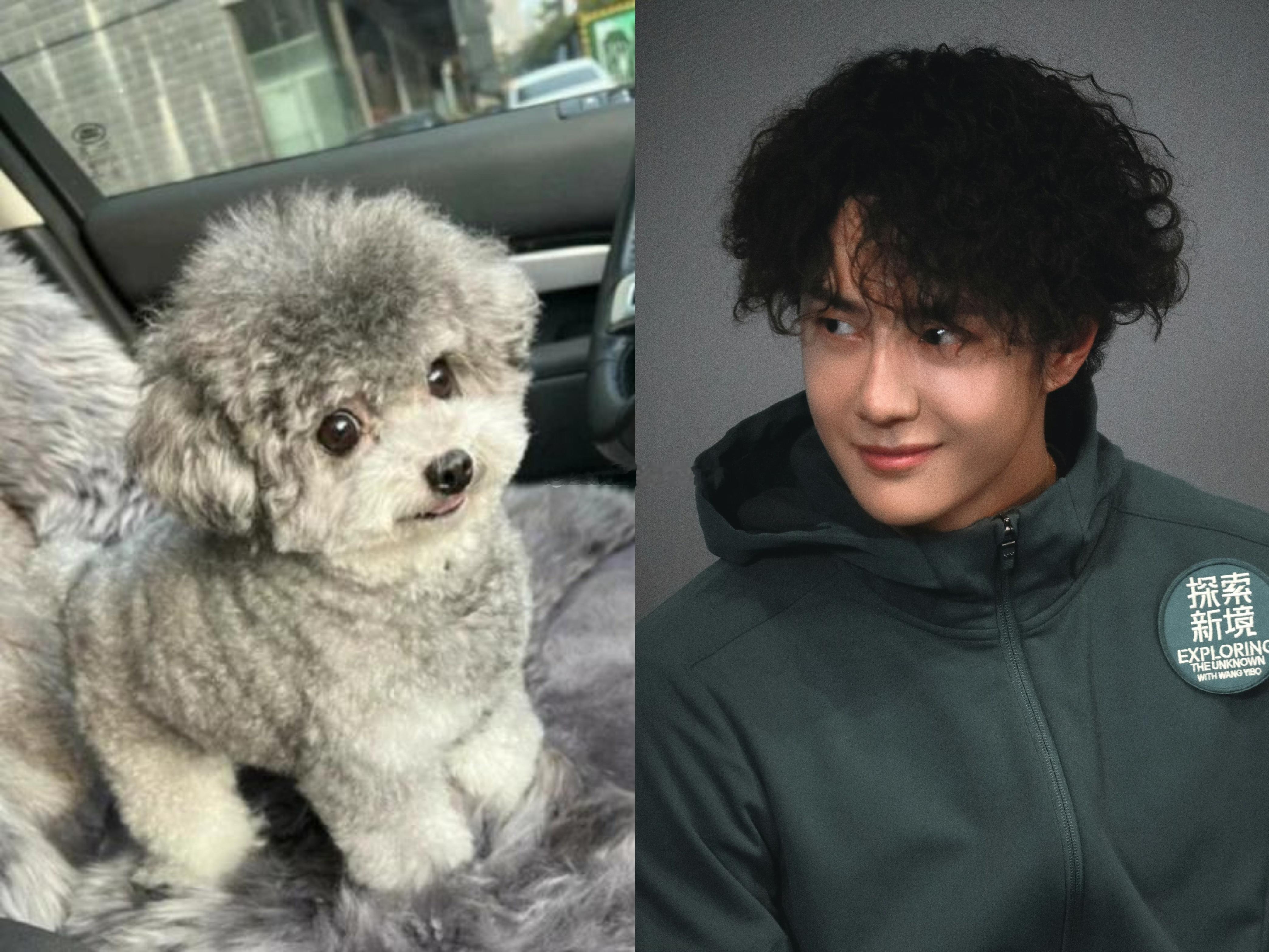 一旦接受了王一博卷毛修勾的设定，根本停不下来