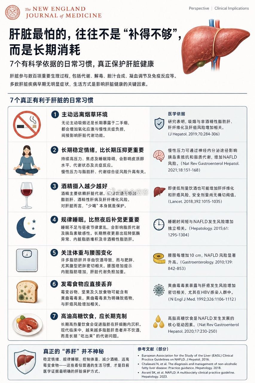肝脏最怕的，往往不是“补得不够”，而是长期消耗