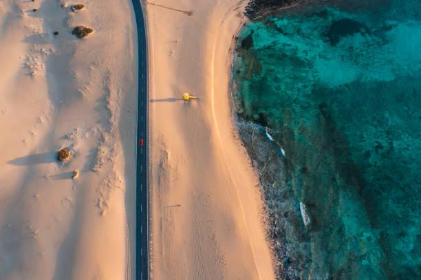 一位历史学者说：贾诩坑过曹操却能善终：曹操的用人逻辑，太现实了。《三国演义》