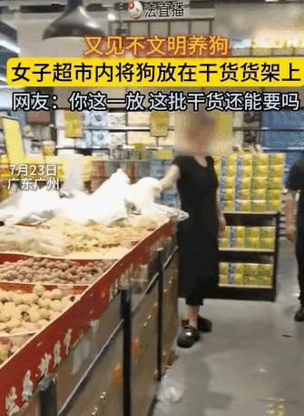 咋想的！7月23日，女子抱着宠物狗去逛超市，在中途抱累了，竟然直接将狗放在干货货