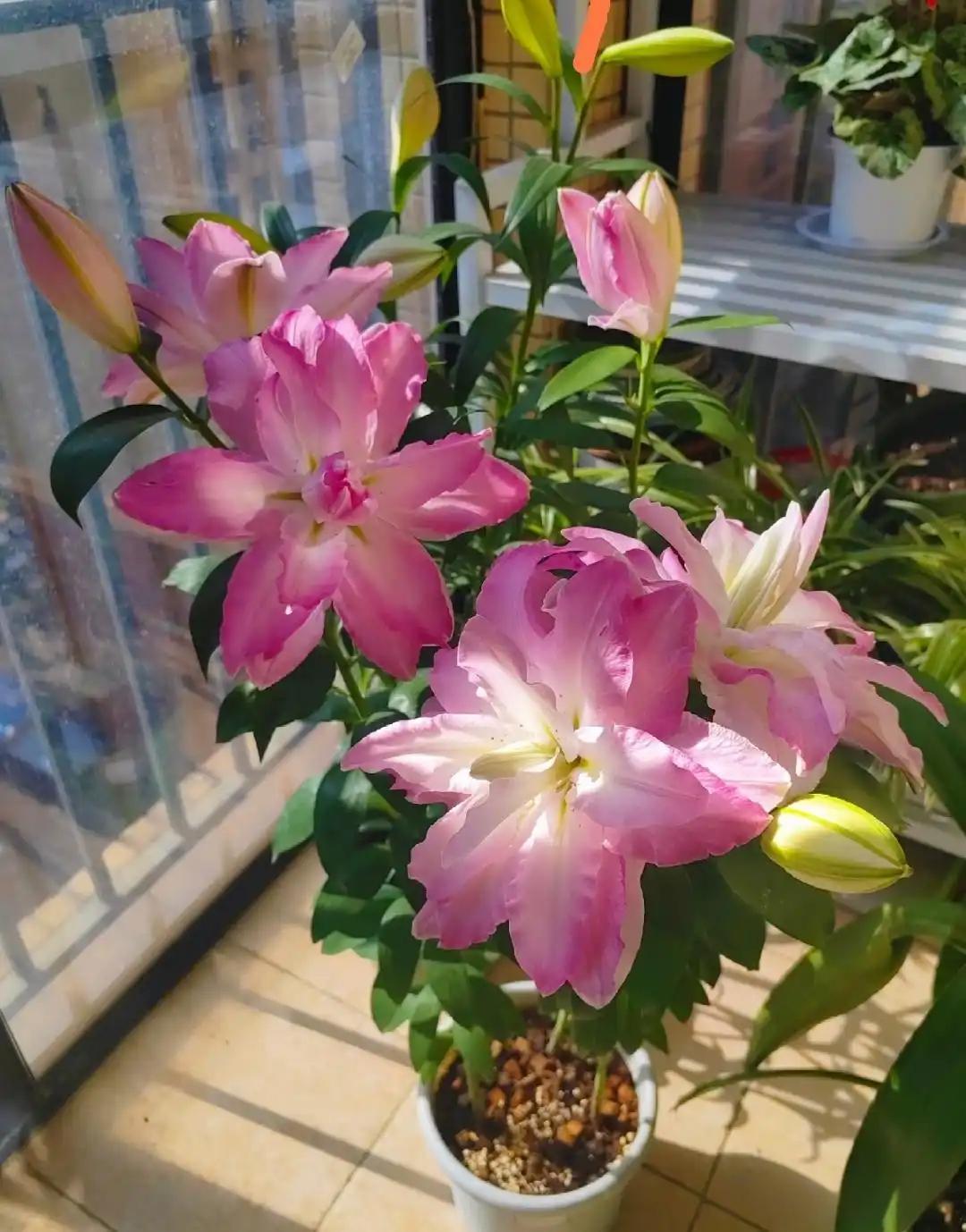 我上个月离婚了，老公对我千恩万谢，丢下孩子就离开了。昨晚下班回家，打开门后看见老