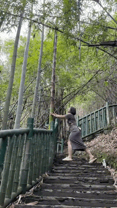 长的挺标致的，就是手有点欠周末爬山，景色宜人，新竹长的挺好，跟旁边