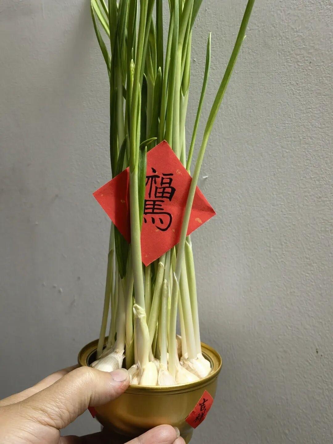 没电梯。女儿每周末上来一趟，爬一层喘三喘，进门先歇十分钟，然后撸起袖子给他收