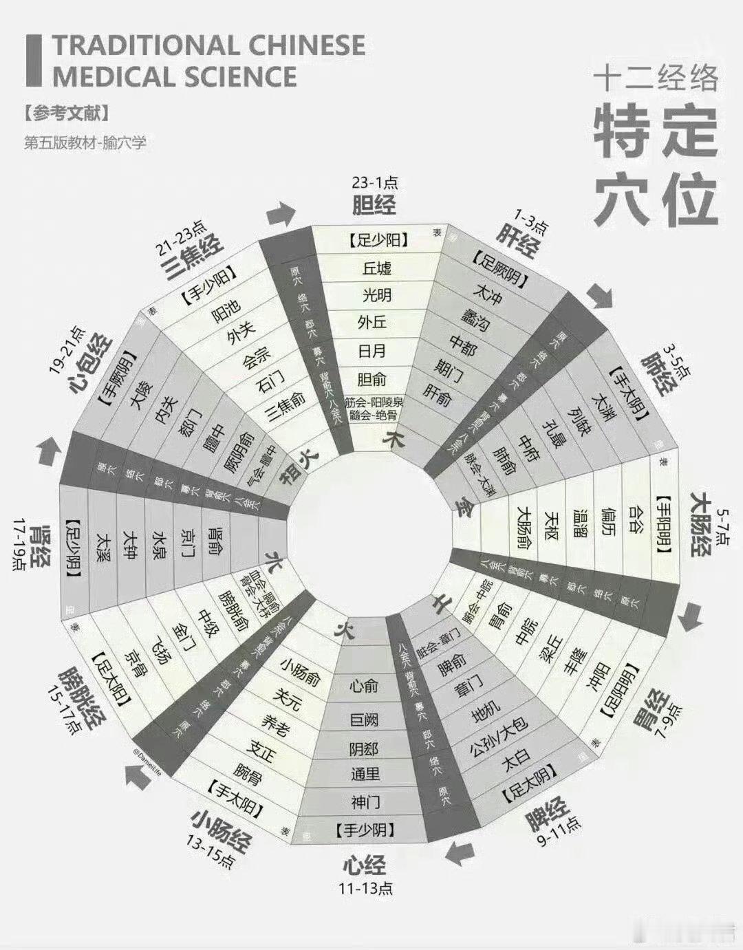 中医基础理论思维导图学中医的外国人到底有多拼