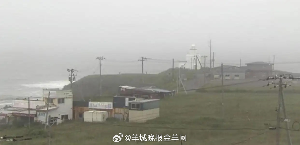 #日本北海道第一波海啸到达##俄罗斯部分地区海啸预警#【#第一波海啸已抵达日本