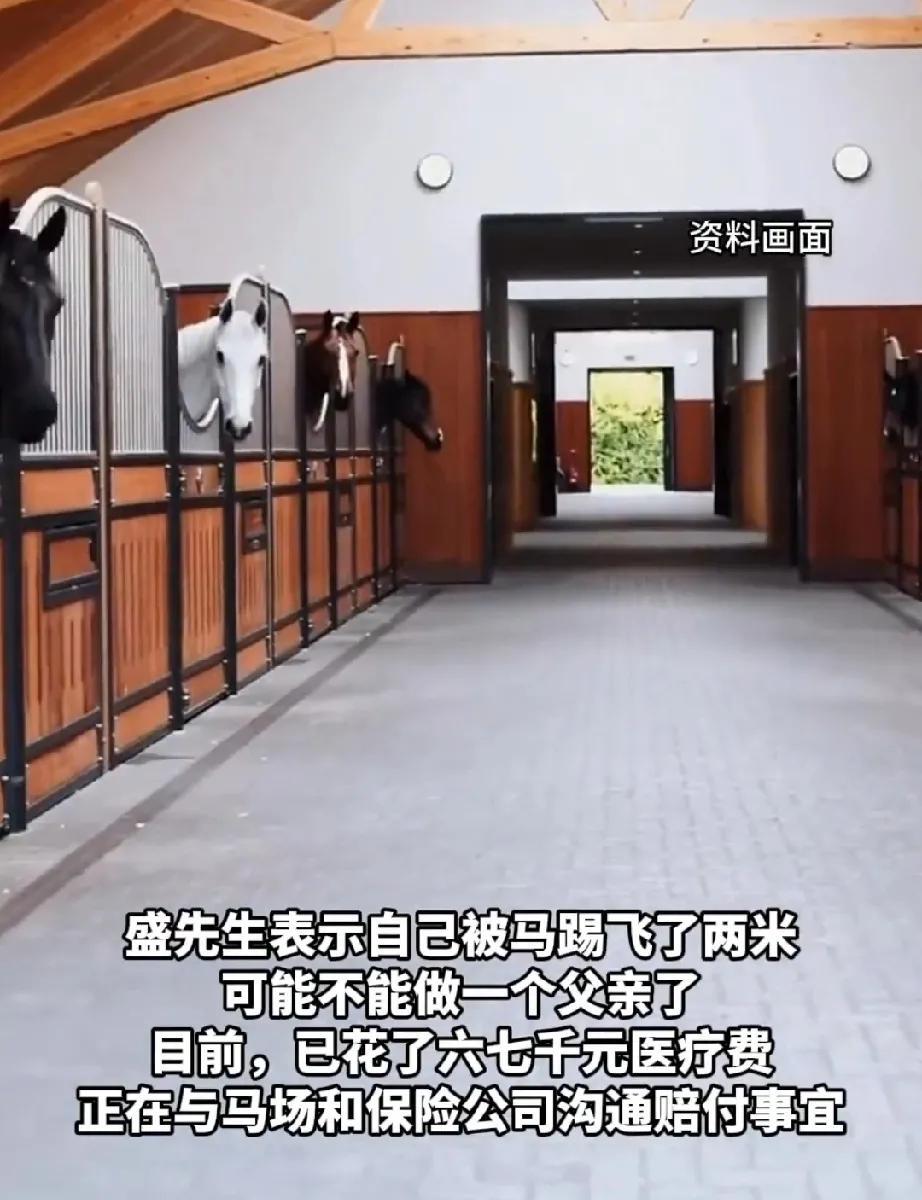 吉林省白山市的池西马场，有骑马的项目，吸引众多的游客到此体验，感受一下驰骋在蓝天