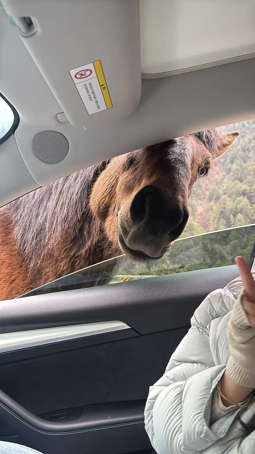别人的媳妇就是漂亮啊