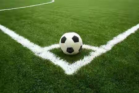 成都蓉城不需要更不是靠对手球员停赛开赢球！浙江队核心米特里策追加处罚停赛几场对于