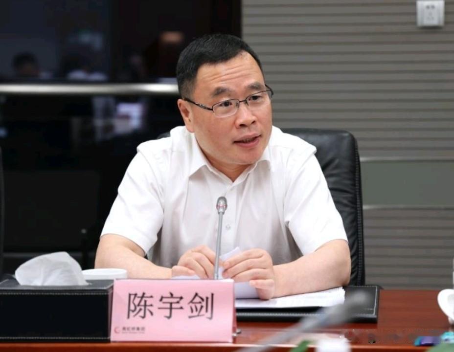很是让人意外！上海市副市长，副部级干部陈宇剑任上落马，仕途就此戛然而止！6月10