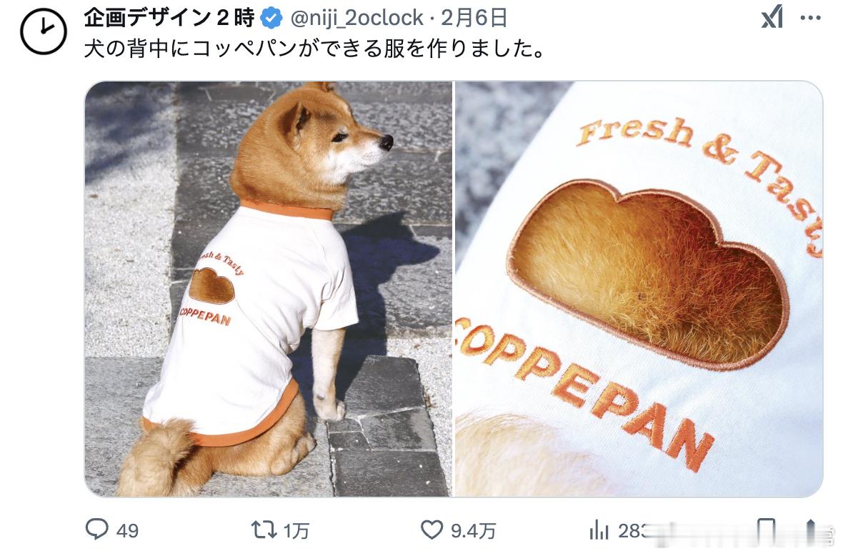 一件阿柴的背后会出现面包的衣服🍞[doge]